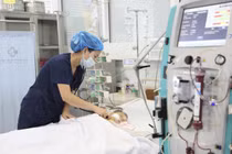 Bé trai 15 tháng tuổi nguy kịch vì bị ong vò vẽ đốt khoảng 60 nốt trên người