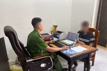 Phát hiện 15 con lợn chết bốc mùi bên đường ở Phú Thọ