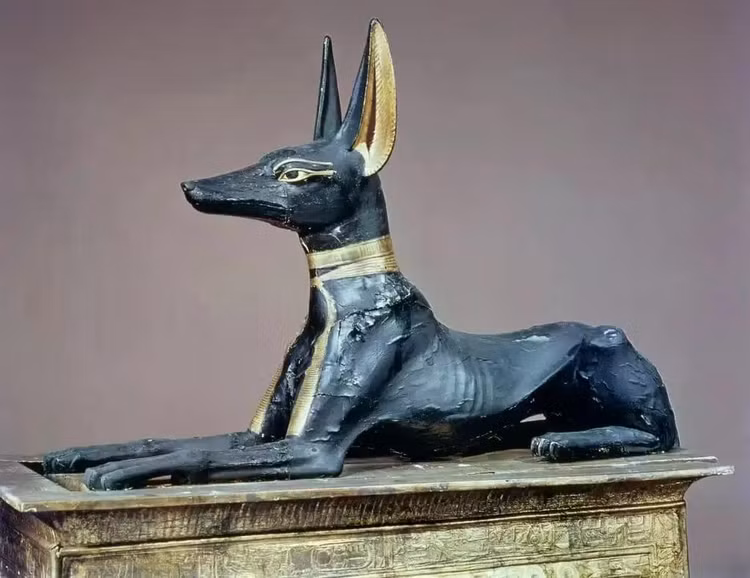 anubis-shrine-of-tutankhamun.jpg
