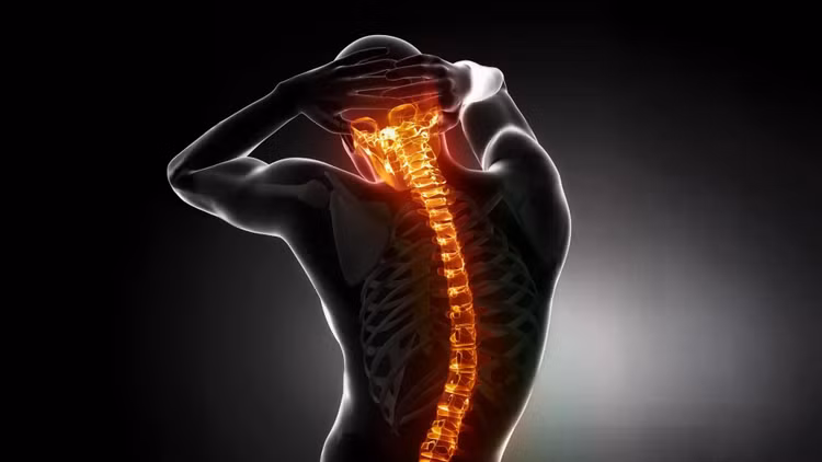 male-anatomy-spinal-column-backbone.jpg