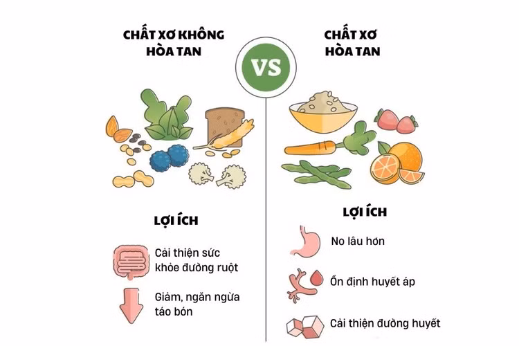 chat-xo-co-may-loai.jpg