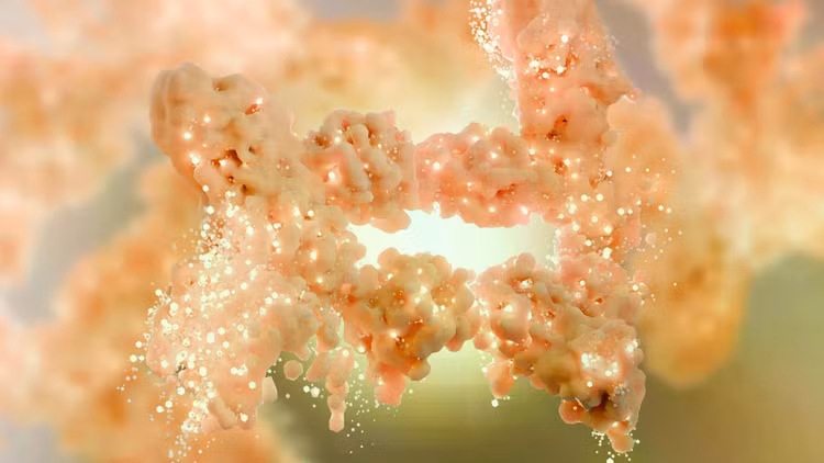 fat-burning-human-tissue-cells.jpg