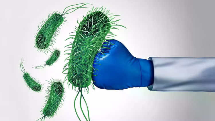 antibiotic-resistance-fighting-bacteria.jpg