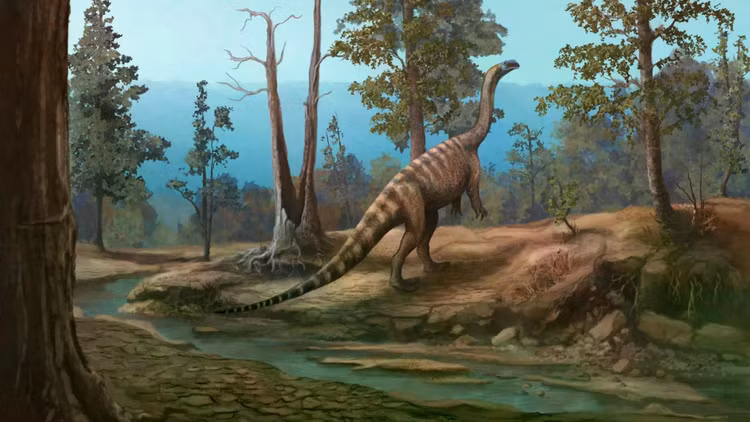 reconstruction-of-musango.jpg