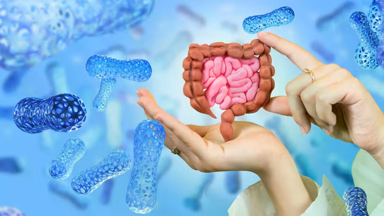 gut-microbiome-probiotic-bacteria-hands-holding-intestines.jpg