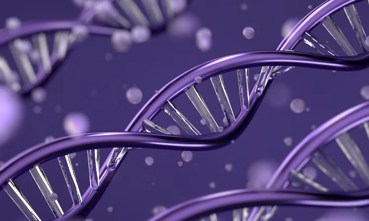 Các tế bào tổng hợp có khả năng tự nhân lên DNA và phân chia tế bào. Ảnh: Pexels