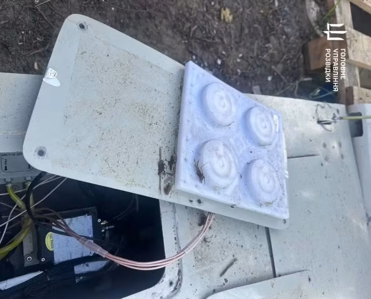 z6767614123760-500fe826162108f30ce4f837416286de.jpg