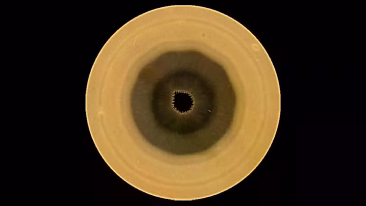 090126-mb-saturn-main.jpg