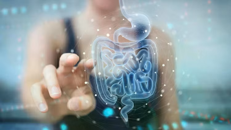 digestive-system-intestines-holographic-scan.jpg