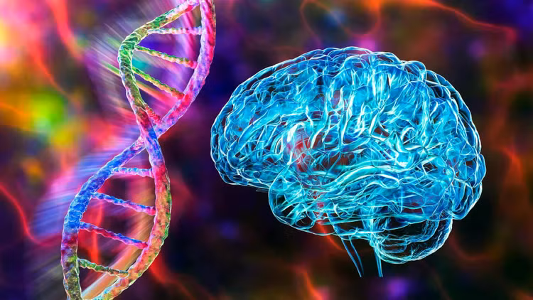 genetic-neuroscience-human-brain-dna-mutation.jpg