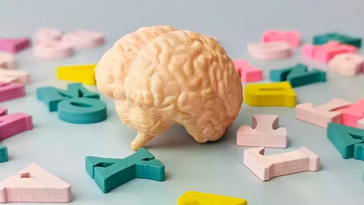 human-brain-model-surrounded-by-colorful-alphabet-letters-close.jpg