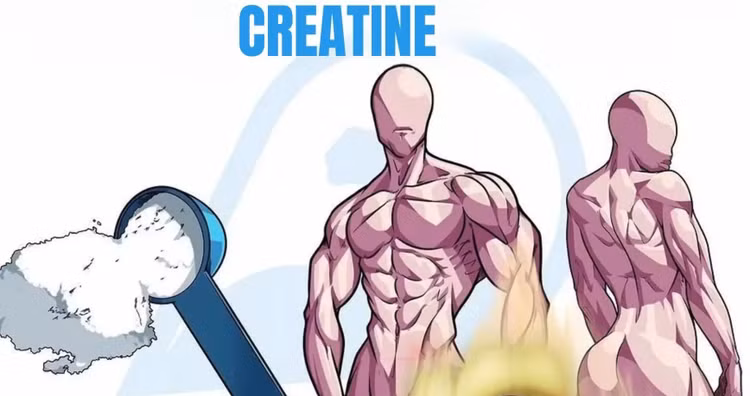 creatine-la-gi.jpg