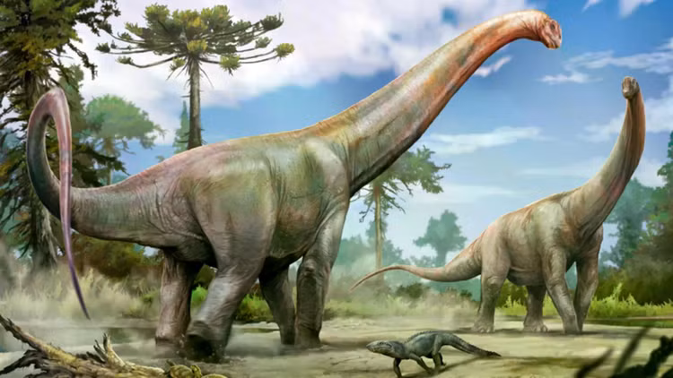 new-dinosaur-from-maranhao-state.jpg
