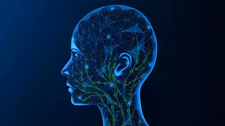 lymph-nodes-head-and-neck.jpg