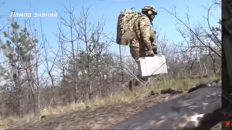 nho-gon.jpg