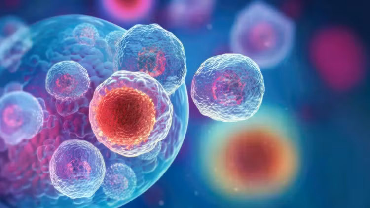 embryonic-stem-cells-cellular-therapy-regeneration.jpg