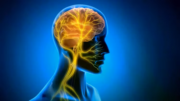 brain-vagus-nerve-stimulation.jpg