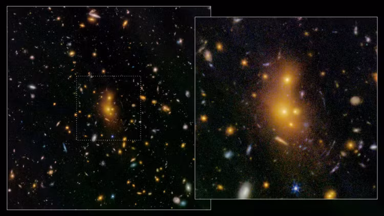 cluster-xlssc.jpg