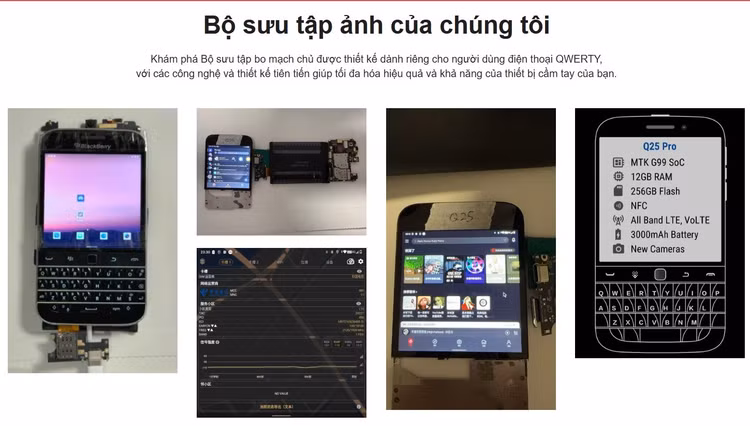 bb.jpg