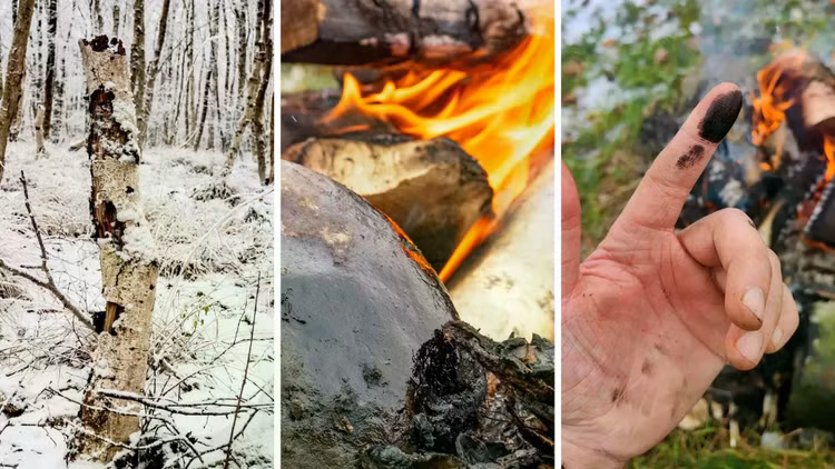 production-of-birch-tar.jpg