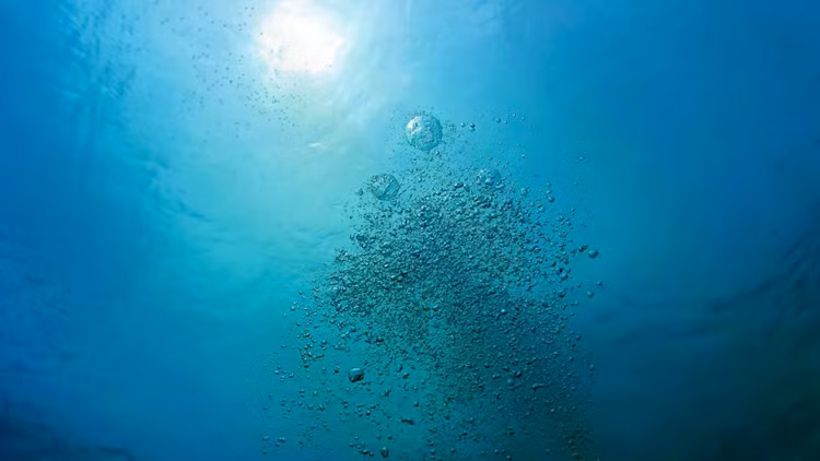 ocean-oxygen-carbon-dioxide-bubbles.jpg