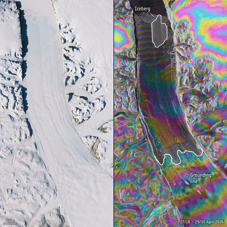 sentinel-1-interferometry-highlights-fractures-of-petermann-ice-tongue-pillars.jpg