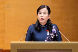 Bảo đảm minh bạch và an ninh năng lượng qua dự luật điện lực mới