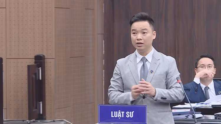 Phan Huy Anh Vu noi ve suc ep tu cuu Bi thu Dong Nai Tran Dinh Thanh-Hinh-2