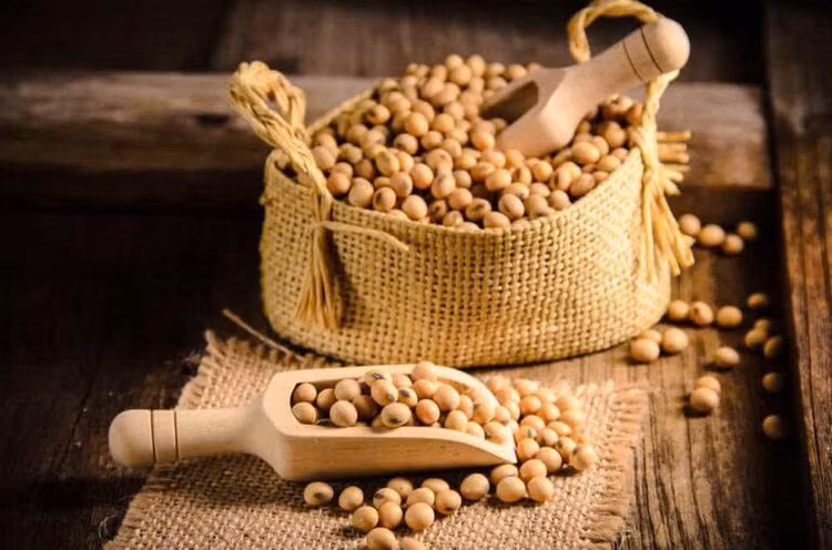 Đậu nành là một nguồn cung cấp omega-3 tuyệt vời cho những người ăn chay. Đậu nành là một nguồn cung cấp omega-3 tuyệt vời cho những người ăn chay.