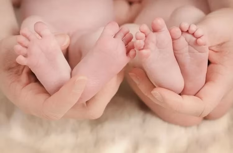 Sinh đôi nhưng không giống nhau, không trùng sinh nhật, vì sao? - Ảnh minh hoạ/ Nguồn: Intenet