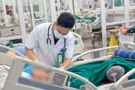 Bệnh Whitmore nguy hiểm trong mùa mưa lũ, cảnh báo người dân