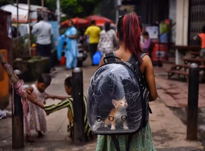 mumbai9.png