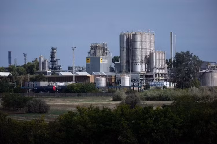 dau1.png