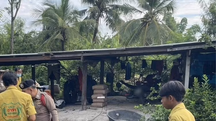 thailan1.png