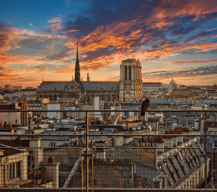 paris5.jpg