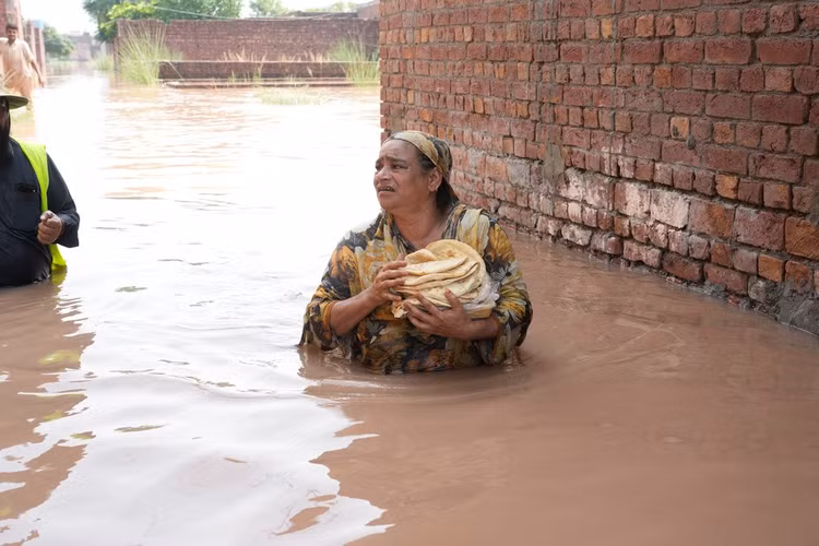 apngapopakistan.jpg