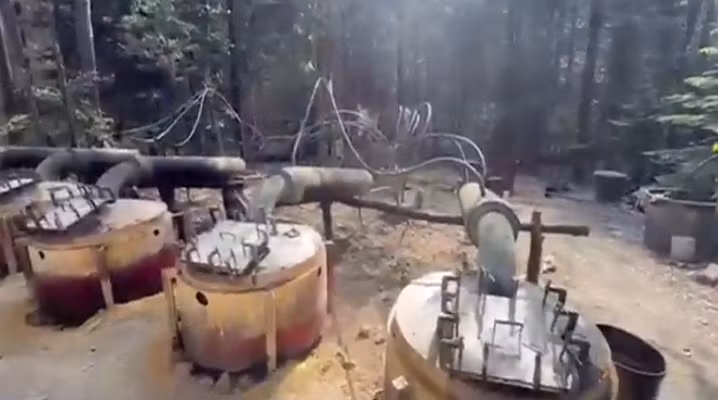 meixco.png