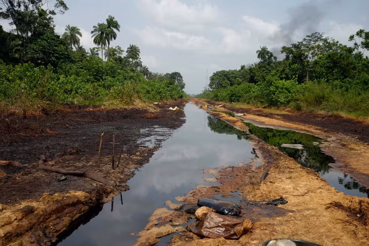 apdauloangnigeria.jpg
