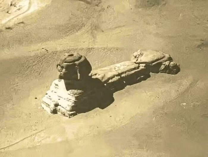 ai7.jpg