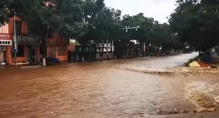 trungquoc.png