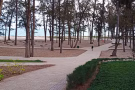 Phát hiện thi thể một bác sĩ phó khoa trôi dạt vào bãi biển Đồi Dương