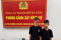Thiếu niên cùng đồng phạm đột nhập nhà mẹ ruột, trộm gần 100 triệu đồng