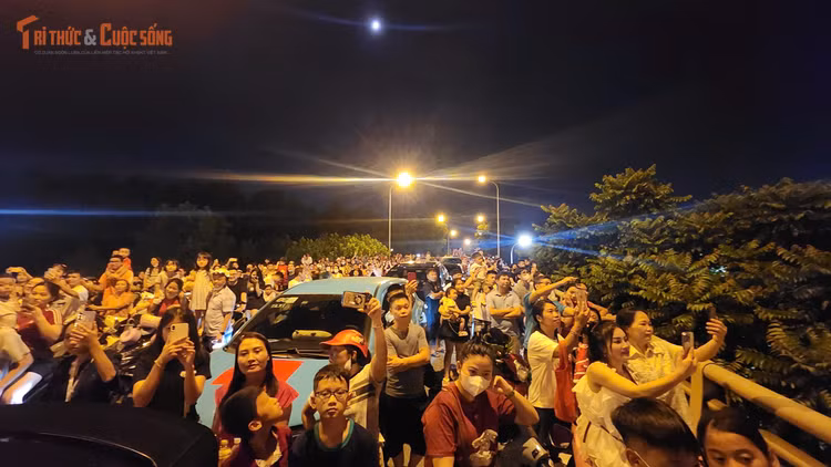 kto-tl_phao-hoa-my-dinh.jpg