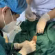 Bé 1 tháng tuổi suy đa cơ quan sau sốt, nôn, tiêu chảy