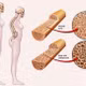 30-40% phụ nữ mãn kinh loãng xương, uống canxi tùy tiện dễ rước thêm nguy cơ