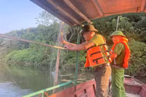 Lào Cai tháo dỡ gần 1.000m lưới bẫy chim hoang dã trên đầm Vân Hội