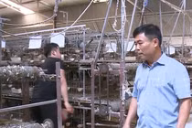 Chuyển đổi số - Động lực thay đổi diện mạo nông nghiệp Bắc Ninh