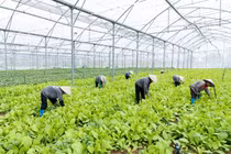 Bắc Ninh mở rộng ứng dụng khoa học, công nghệ trong sản xuất