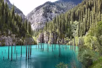Bí ẩn những thân cây mọc giữa hồ nước xanh ngọc ở Kazakhstan