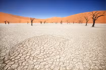 Deadvlei: Khu rừng chết trăm tuổi giữa sa mạc Namibia